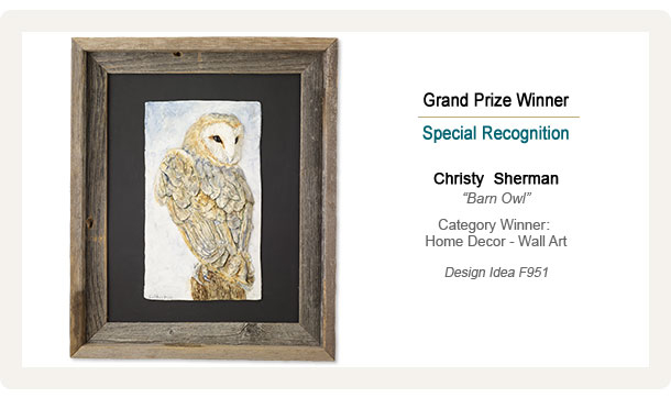 Barn Owl-Design-Idea-F951-Wall-Hanging-bc2015_winners_creativeclay_073